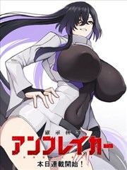 鸣鸟不飞公式书封面
